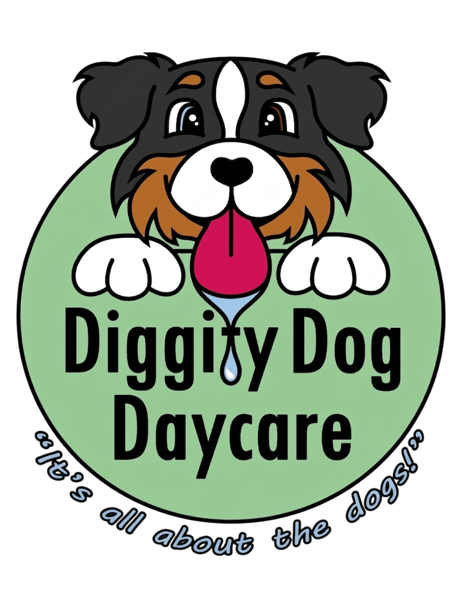 Diggity Dog Daycare logo featuring a happy cartoon dog with its tongue out peeking over a green circle.