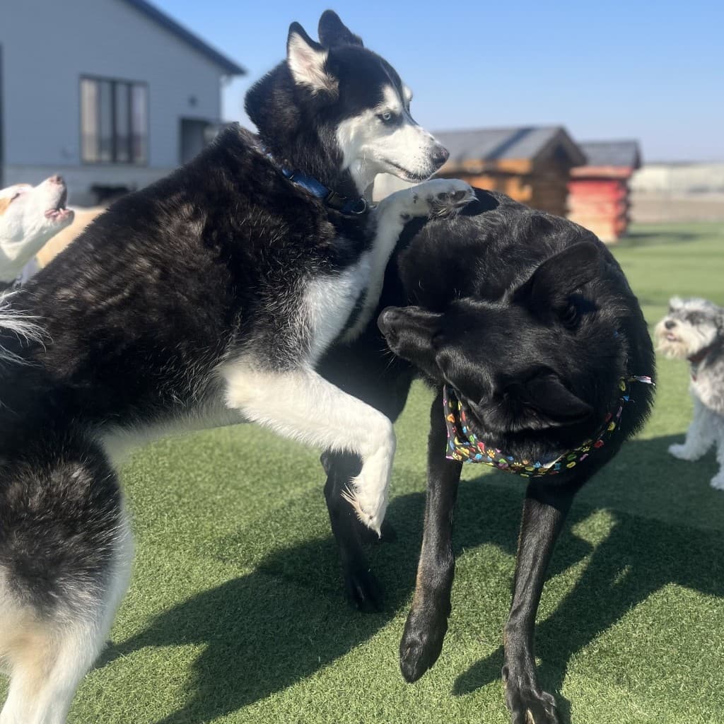 Facility gallery image 2