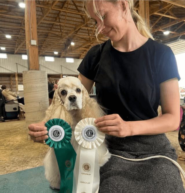 Morgan, Diggity Dog Daycare groomer, with her American Cocker Spaniel June at a dog show.